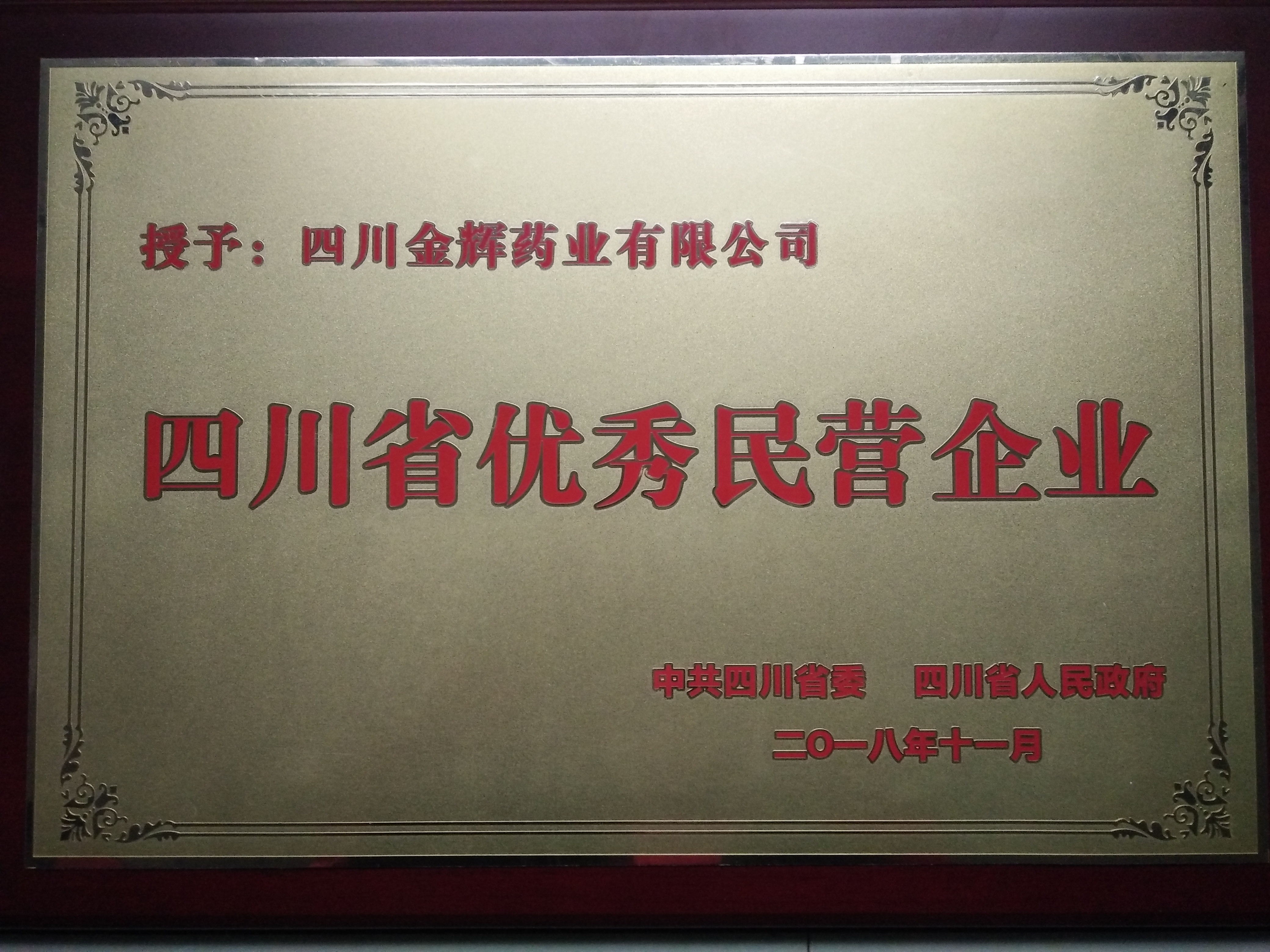 2018年四川省優(yōu)秀民營(yíng)企業(yè).jpg
